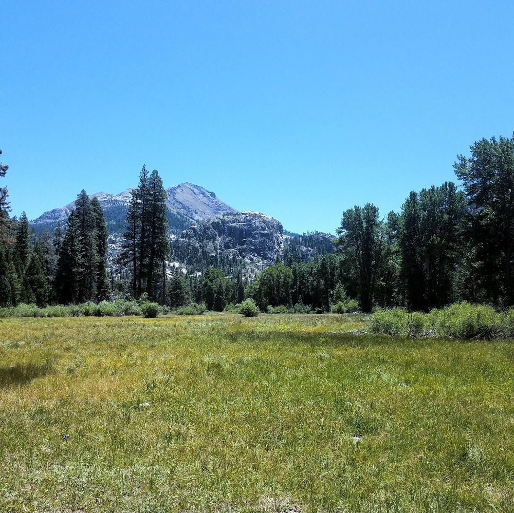 Meet your Posher, Carol